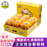 忆京源福建黄金葡萄柚 新鲜柚子爆汁纯甜西柚蜜黄肉柚 现摘时令孕妇水果 9斤大果精选装