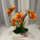 wo+ 高档新款手感PU蝴蝶兰仿真花艺客厅餐桌花电视柜装饰花假花 白色扁陶瓷盆+橙红色蝴蝶兰