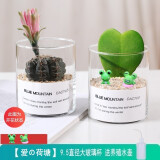 绿荫巷子多肉植物仙人掌盆栽肉肉室内桌面创意绿植小盆栽带盆 【一心+菲花玉】玻璃杯+小蛙+壶