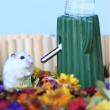 布卡星仓鼠仙人掌水樽+80ml水壶加高立式饮水器加金丝熊用品