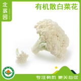 北菜园菜花有机散白菜花350g新鲜有机蔬菜【进店多样加购】花菜