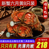 【活蟹】阳澄清歆大闸蟹 鲜活特大螃蟹公蟹母蟹 海鲜水产生鲜礼盒 新蟹六月黄2.5-2.8两 八只礼盒装