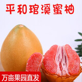 农端直选琯溪红心蜜柚 甜柚子新鲜水果福建广东漳州梅州特产 红柚5斤（2个）精品礼盒装