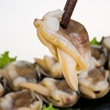 渔凯丹东黄蚬子鲜活冷冻海鲜水产生鲜即食新鲜捕捞活冻无沙贝类食材 4袋 1600g