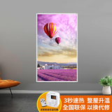 欣艾迪 石墨烯碳晶墙暖壁画家用碳纤维电暖器电热板节能省电取暖器壁挂式电暖气片 600w-03