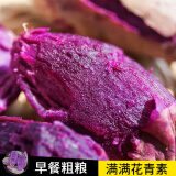 鲁禧广西新鲜紫薯 当季精品紫薯地瓜 软糯香甜健康轻食生鲜蔬菜 中果净重4.5斤（单果150-400g）