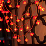 黛莉嘉尔新年红灯笼中国结小彩灯闪灯灯串满天星家用过年春节房间装饰布置