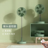 HYUNDAI 电风扇台扇落地扇充电风扇立式台式便携伸缩风扇办公室桌面立式折叠风扇 家用/户外 莫迪绿【摇头+充电+遥控+伸缩】