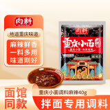 向料重庆小面调料麻辣味40g 胖妹小面 凉拌 炒菜 泡面 调味品