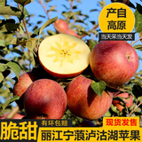 拉尔庄园正宗云南丽江宁蒗冰糖心丑苹果 脆甜富士苹果 当季新鲜现摘 带箱10斤大果（果径70-90mm）