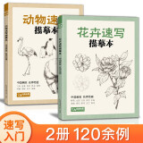 2册《花卉动物速写描摹本》零基础画画入门新手自学教程书籍线描花卉临摹手绘初学者学绘画教材铅笔画素描速写