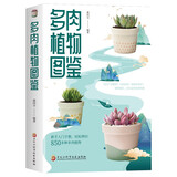 多肉植物图鉴