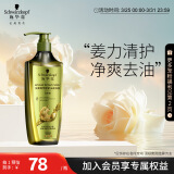 施华蔻（Schwarzkopf）生姜精华修护头皮净澈洗发露600ml(蓬松控油去屑洗发水)新老包装