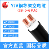 国超电缆YJV-0.6/1KV-2*10铜芯国标架空户外防老化2芯电力电缆 1米【现货】