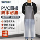 胜丽围裙工作服耐磨PVC挂脖耐酸碱BPC802透明色 5件