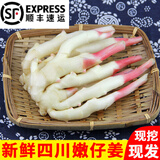 辰实【现挖发顺丰】四川嫩姜 新鲜生姜 红芽仔姜 子姜泡醋姜 四川红芽嫩姜3斤