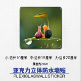 大登补洞堵窟窿墙贴墙洞遮挡装饰品墙面破损补丁遮丑贴纸3d亚克力 方形蜗牛 10cm*10cm 小号