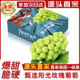融鲜阳光玫瑰葡萄晴王四川香印青葡提子水果礼盒当季应季中秋节礼物盒 2斤商超果 单粒8-10g 净重1.7斤 生鲜水果  源头直发