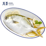 万景 生态原条金鲳鱼550g (1条) 北海湾海鱼 新鲜急冻 海鲜水产 生鲜