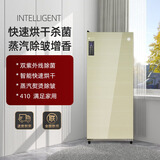 AYHY 家用智能双开门镜面蒸汽衣物护理机衣柜式烘干机暖风干衣机衣服除味塑形紫外线负离子杀菌消毒 新立体风-香槟金-【蒸汽护理+烘干除菌】- 410L 单门款