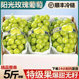 京橙美锦【顺丰】山西阳光玫瑰葡萄新鲜水果晴王香印提子爆甜无核孕妇当季 净重2斤尝鲜串装【单果8-15g】 新鲜