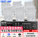 先科（SAST）SA-9002 壁挂套装蓝牙功放机公共广播舞蹈室家用客厅商用会议店铺背景喇叭15W壁挂式音箱一拖六