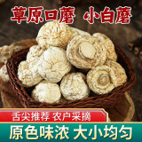 北域珍奇 口蘑干货特产小白蘑菇新货草原白蘑菇双孢菇口菇煲汤食材