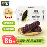 北纬47°（BEIWEI）黑珍珠甜糯鲜玉米棒 200g*10穗 东北低脂粘玉米 杂粮礼盒