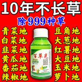 除草剂烂根除杂草不伤菜苗三年不长草安全强力除草一扫光除草克星 【试用装】 100ml 1瓶