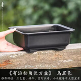 一景一悟一画仙人球蔬菜花盆仿紫砂陶瓷盆多肉盆老庄育苗盆大塑料花盆盆栽盆景 乌黑色【20*15*7.3】【树脂】 1个装