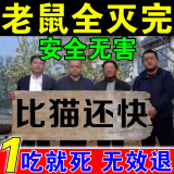 乐肖鼠老鼠药三步到一闻就死超强效力一窝端神器家用特室内外效灭耗子药 老鼠药家用室外死超强力特效5袋