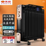 先锋（SINGFUN）取暖器 电热油汀家用电暖气片电暖炉室内加热器电暖器 15片【DYT-Z2Pro】