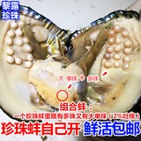 托托贴贴珍珠蚌自己开蚌取珍珠淡水活蚌壳河蚌多珠单珠鲜活珍珠贝活体SN43 多珠加大单珠组合3个（单珠可能开不出来，介意勿拍）