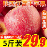雪糖心 苹果陕西新鲜红富士苹果 冰糖心苹果 新鲜水果整箱脆甜 净重4.5斤大果（80mm起）