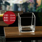 水培器皿创意玻璃花盆水养植物瓶透明花器绿萝白掌花瓶正方形容器 12方缸(裸缸)