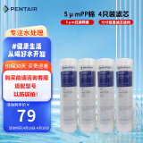 滨特尔（pentair） 净水器家用 前置10寸PP棉滤芯 简易更换 原装替换PP棉滤芯 10寸5μm通用 4只装