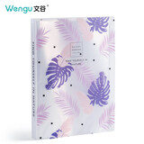 文谷（Wengu）A4资料册60页插页文件袋档案袋收纳袋透明文件夹学生多层试卷资料袋自然M0216-60-C