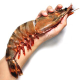 乐鲟汇生鲜 大虾 特大黑虎虾 大龙虾 虾仁 鲜活生冻海鲜大礼包食材年货 4-6只900g黑虎虾 900g(净重) 