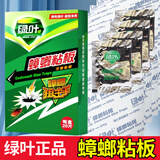 绿叶蟑螂粘板捕捉蟑螂器蟑螂贴粘板纸家用灭蟑螂 40片两盒装