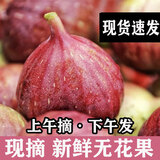 无花果鲜果新鲜特级特甜煲汤云南紫皮无花果红皮现摘一级大果应季 5斤精选大果