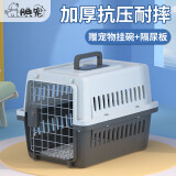 腆宠 宠物航空箱小号 猫咪航空箱猫狗 猫包猫笼外出车载猫箱狗狗托运