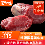 斗牧 草原力生内蒙古牛肉锡盟新鲜雪花牛肉小卷精选牛肉卷礼品1kg 生牛肉冷冻肉食材纯牛肉