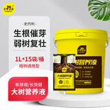 史丹利大树营养液护树宝园林树木移栽吊针式营养液补充剂植物肥料通用型