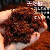 宠以沫无菌椰土垫材乌龟冬眠蜘蛛蝎子爬虫角蛙蜗牛保湿苔藓免泡直接用 椰土1斤