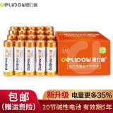 德力普（Delipow）电池 碱性电池20粒 适用于玩具/遥控器/电子秤/血压计/鼠标键盘 20粒5号碱性电池