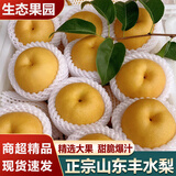 译优农山东莱阳丰水梨新鲜当季水果冰糖雪梨黄金蜜梨现摘整箱 净重4.5-5斤大果【精品装】