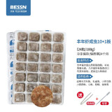 BESSN红虫冰冻牛心汉堡丰年虾罗汉鱼金鱼七彩鱼发财鱼饲料鱼食 【冷库直发】丰年虾成10板+1板+喂食镊+吸管