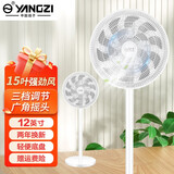 扬子电风扇大风力落地扇遥控立式电扇家用轻音办公室宿舍客厅卧室摇头遥控自然风睡眠风电风扇 机械款原装线