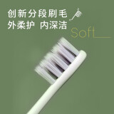 舒客（Saky）电动牙刷头 成人声波电动牙刷G33A系列替换刷头双支装-T6 护龈型 米黄色