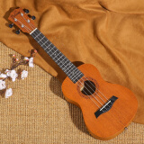 维卡斯（WEIKASI）尤克里里初学者23寸乌克丽丽单板ukulele女生桃花心木入门乐器 23英寸【桃花芯单板】梦相思
